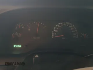 1999 Dodge 1500 with VIN 3B7HC12Y2XG220300, listed as a Copart auction lot 48817305 with 273,066 mi miles and Salvage Title. Bid and sale history available at DreamBid. Image 9.