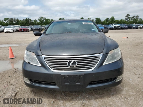 2009 Lexus LS 460 with VIN JTHBL46F695084665, listed as a Copart auction lot 53698205 with 59,679 mi miles and Clean Title. Bid and sale history available at carsss.com. Image 5.