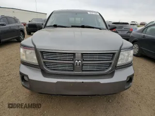 2010 Dodge Dakota SXT with VIN 1D7CW3GP3AS161843, listed as a Copart auction lot 76721334 with 308,931 mi miles and Clean Title. Bid and sale history available at DreamBid. Image 5.