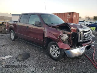 2009 Ford F-150 XL with VIN 1FTPW12V69KC71691, listed as a Copart auction lot 46351605 with 219,531 mi miles and Salvage Title. Bid and sale history available at carsss.com. Image 4.