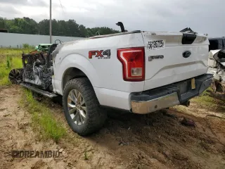2017 Ford F-150 XL with VIN 1FTEW1EF3HKE49647, listed as a Copart auction lot 56196725 with Not provided miles and Non repairable. Bid and sale history available at DreamBid. Image 2.