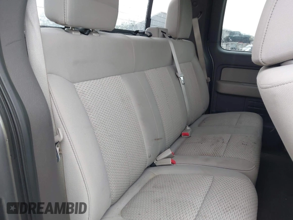 2010 Ford F-150 XL with VIN 1FTEX1E83AFD64062, listed as a IAAI auction lot 42550600 with 135,059 mi miles and . Bid and sale history available at DreamBid. Image 8.
