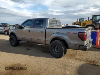 2010 Ford F-150 XL with VIN 1FTFW1EV6AFA03440, listed as a Copart auction lot 54847325 with 176,807 mi miles and Salvage Title. Bid and sale history available at DreamBid. Image 2.