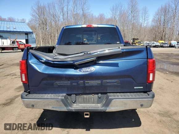 2018 Ford F-150 XL with VIN 1FTEW1EG1JKF48482, listed as a Copart auction lot 52347845 with 130,331 mi miles and Salvage title. Bid and sale history available at DreamBid. Image 6.