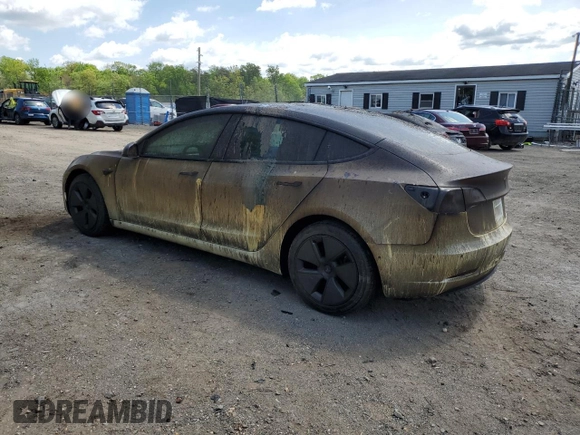 2021 Tesla Model 3 Standard Range Plus z VIN 5YJ3E1EA1MF096234, wystawiony jako Copart lot #53093815 z przebiegiem 14 019 mil mil oraz Szkody całkowita. Historia ofert i sprzedaży dostępna na DreamBid. Obrazek 2.