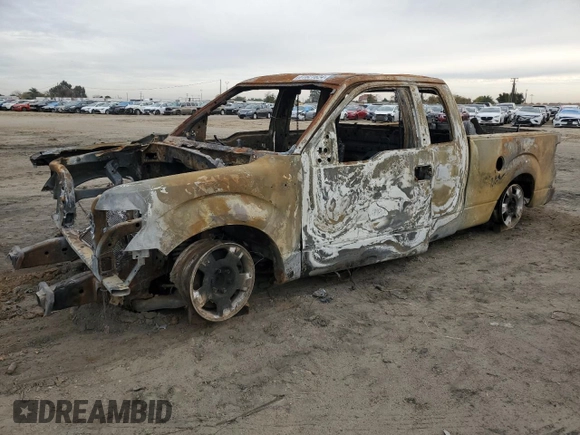 2010 Ford F-150 XL with VIN 1FTFX1CV0AFA36403, listed as a Copart auction lot 81621624 with 0 mi miles and Non Repairable. Bid and sale history available at carsss.com. Image 1.