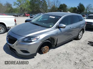 2013 Mazda CX-9 Touring with VIN JM3TB3CV2D0418962, listed as a Copart auction lot 52200415 with 118,860 mi miles and Salvage Title. Bid and sale history available at carsss.com. Image 1.