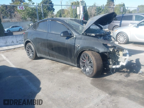 2024 Tesla Model Y Performance with VIN 7SAYGDEF7RF021464, listed as a IAAI auction lot 41225432 with Not Provided miles and . Bid and sale history available at DreamBid. Image 1.