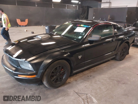 2009 Ford Mustang with VIN 1ZVHT80N695142483, listed as a IAAI auction lot 42672035 with 201,019 mi miles and . Bid and sale history available at DreamBid. Image 17.