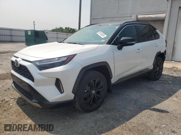 2023 Toyota RAV4 Hybrid XSE with VIN JTME6RFV7PD542467, listed as a Copart auction lot 59144595 with 18,943 mi miles and Salvage title. Bid and sale history available at DreamBid. Image 1.