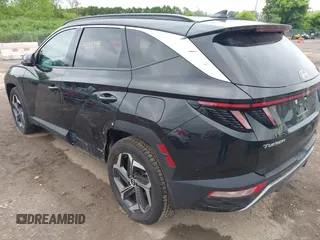 2023 Hyundai Tucson Limited with VIN 5NMJECAE8PH185460, listed as a IAAI auction lot 42383919 with 35,804 mi miles and . Bid and sale history available at DreamBid. Image 3.