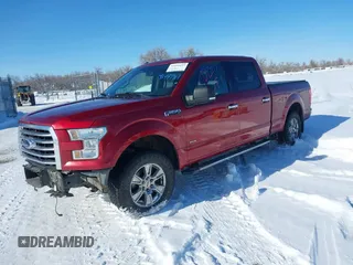 2016 Ford F-150 XLT with VIN 1FTFW1EG1GKD16719, listed as a IAAI auction lot 41494417 with 124,063 mi miles. Bid and sale history available at carsss.com. Image 2.