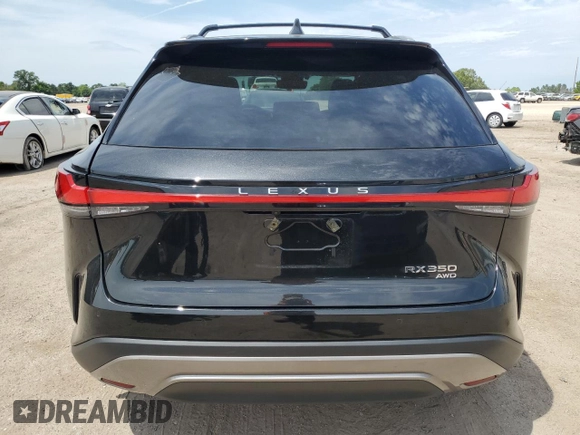 2023 Lexus RX with VIN 2T2BAMCA2PC025012, listed as a Copart auction lot 53435774 with 12,718 mi miles and Salvage Title. Bid and sale history available at carsss.com. Image 6.