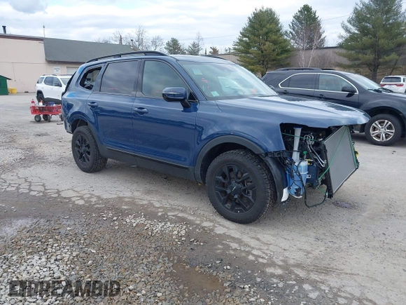 2024 Kia Telluride SX Prestige X-Pro с VIN 5XYP5DGC9RG476097, выставлен на аукционе IAAI как лот 41865672 с пробегом 8 651 миль миль и . История ставок и продаж доступна на DreamBid. Изображение 1.
