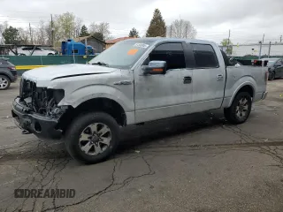 2012 Ford F-150 XL with VIN 1FTFW1ET4CKE23108, listed as a Copart auction lot 51360905 with 186,376 mi miles and Non repairable. Bid and sale history available at DreamBid. Image 1.
