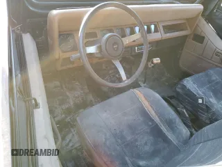 1995 Jeep Wrangler S with VIN 1J4FY19P1SP256905, listed as a Copart auction lot 46057415 with 138,212 mi miles and Salvage Title. Bid and sale history available at carsss.com. Image 8.