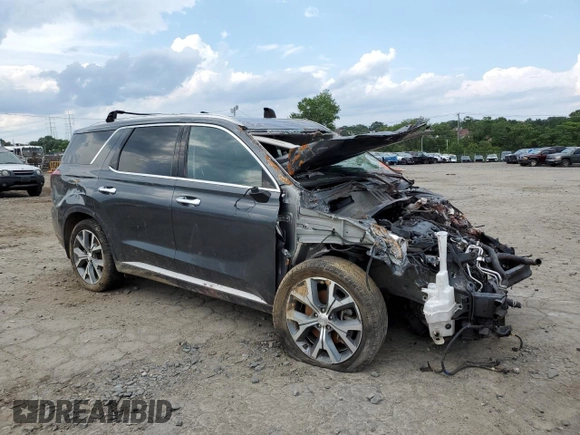 2020 Hyundai Palisade SEL with VIN KM8R3DHE1LU131520, listed as a Copart auction lot 64320425 with Not provided miles and Clean title. Bid and sale history available at DreamBid. Image 4.