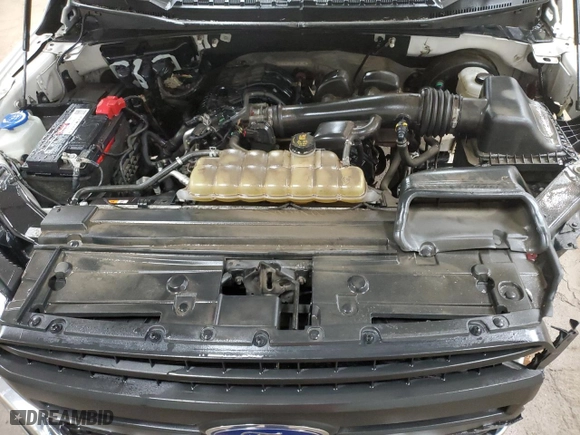 2019 Ford F-150 XL with VIN 1FTMF1CB1KKE45650, listed as a Copart auction lot 50520075 with 149,666 mi miles and Clean Title. Bid and sale history available at carsss.com. Image 11.
