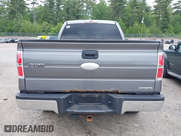 2012 Ford F-150 XL with VIN 1FTFX1EF6CFA08260, listed as a IAAI auction lot 42445282 with 171,129 mi miles and . Bid and sale history available at DreamBid. Image 17.