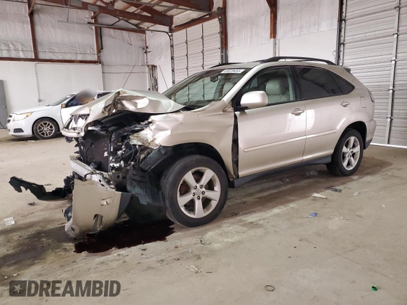 2004 Lexus RX 330 with VIN 2T2HA31U24C011981, listed as a Copart auction lot 48028455 with 194,457 mi miles and Salvage Title. Bid and sale history available at carsss.com. Image 1.