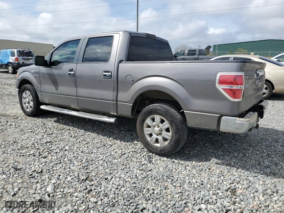 2010 Ford F-150 XL with VIN 1FTEW1C81AFC44900, listed as a Copart auction lot 49167945 with 186,035 mi miles and Salvage Title. Bid and sale history available at carsss.com. Image 2.