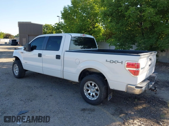 2014 Ford F-150 XL with VIN 1FTFW1ET9EFB85445, listed as a IAAI auction lot 41931625 with 142,400 mi miles and . Bid and sale history available at DreamBid. Image 3.