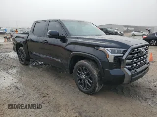 2023 Toyota Tundra 2WD Platinum with VIN 5TFNA5AB5PX026479, listed as a Copart auction lot 83395714 with 13,056 mi miles and Non Repairable. Bid and sale history available at carsss.com. Image 4.
