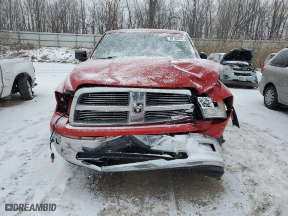 2010 Dodge Ram 1500 ST with VIN 1D7RV1GP0AS133161, listed as a Copart auction lot 87186654 with 204,667 mi miles and Clean Title. Bid and sale history available at carsss.com. Image 5.