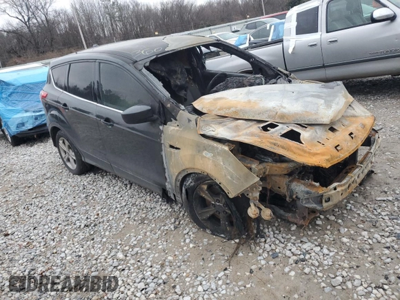 2014 Ford Escape SE с VIN 1FMCU9GX7EUB65404, выставлен на аукционе Copart как лот 42515565 с пробегом Не указан миль и Списание • Salvage title. История ставок и продаж доступна на DreamBid. Изображение 4.
