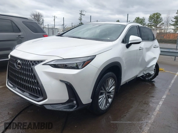 2023 Lexus NX 350h Premium with VIN JTJGKCEZ6P2011257, listed as a IAAI auction lot 41706179 with 4,917 mi miles and . Bid and sale history available at DreamBid. Image 17.
