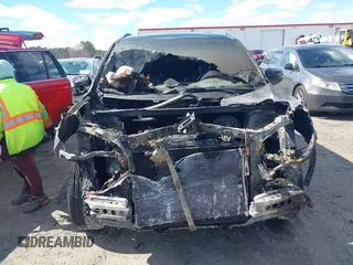 2016 Honda Pilot Elite with VIN 5FNYF6H0XGB127133, listed as a IAAI auction lot 41723875 with Not Provided miles. Bid and sale history available at carsss.com. Image 12.