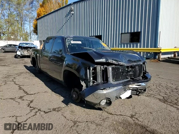 2009 GMC Sierra 1500 with VIN 2GTEK333391130783, listed as a Copart auction lot 43365775 with Not Provided miles and Salvage Title. Bid and sale history available at DreamBid. Image 10.
