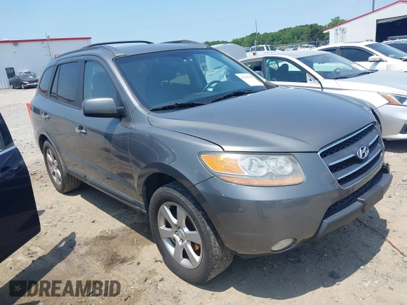 2009 Hyundai Santa Fe SE z VIN 5NMSH13E89H325006, wystawiony jako IAAI lot #42298182 z przebiegiem 164 253 mil mil oraz . Historia ofert i sprzedaży dostępna na DreamBid. Obrazek 1.