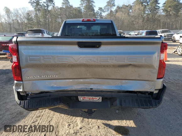 2024 Chevrolet Silverado 1500 Work Truck with VIN 3GCNAAED5RG132104, listed as a Copart auction lot 48496565 with 17 mi miles and Salvage Title. Bid and sale history available at carsss.com. Image 6.