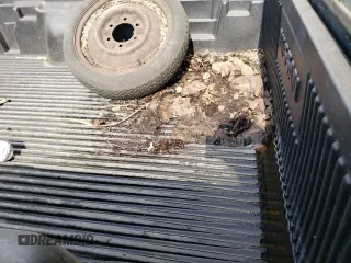 1997 Nissan Frontier XE с VIN 1N6SD11S1VC428441, выставлен на аукционе Copart как лот 58368895 с пробегом 196 892 миль миль и Чистый • Clean title. История ставок и продаж доступна на DreamBid. Изображение 10.