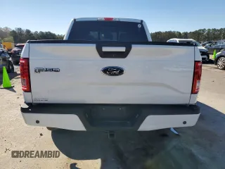 2017 Ford F-150 XL with VIN 1FTEW1EF3HFB62821, listed as a Copart auction lot 49506135 with 126,176 mi miles and Salvage Title. Bid and sale history available at carsss.com. Image 6.