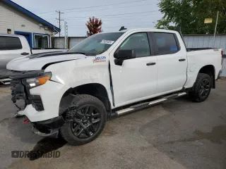 2024 Chevrolet Silverado 1500 Custom Trail Boss with VIN 3GCUDCED0RG387337, listed as a Copart auction lot 74024324 with 0 mi miles and Salvage Title. Bid and sale history available at carsss.com. Image 1.