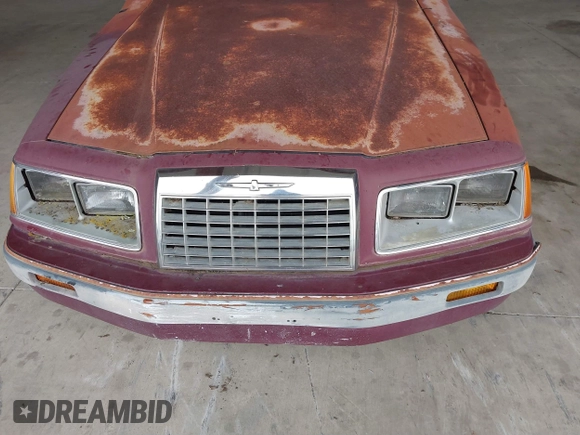 1984 Ford Thunderbird with VIN 1FABP4630EA111572, listed as a IAAI auction lot 41569309 with 7,919 mi miles and . Bid and sale history available at DreamBid. Image 12.