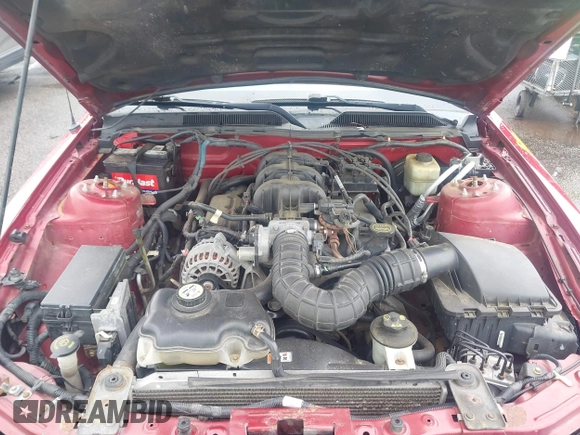 2008 Ford Mustang Deluxe with VIN 1ZVHT84N885121272, listed as a IAAI auction lot 42220813 with 137,152 mi miles and . Bid and sale history available at DreamBid. Image 10.