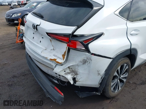 2019 Lexus NX 300 with VIN JTJBARBZ2K2186862, listed as a IAAI auction lot 41867777 with 41,872 mi miles and . Bid and sale history available at DreamBid. Image 18.