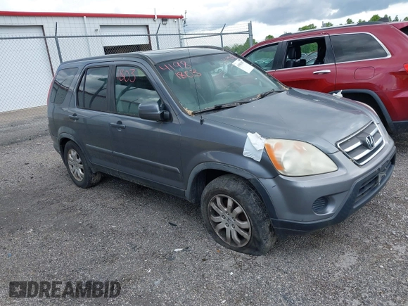 2005 Honda CR-V EX SE with VIN JHLRD78965C039871, listed as a IAAI auction lot 41981803 with 213,745 mi miles. Bid and sale history available at carsss.com. Image 1.