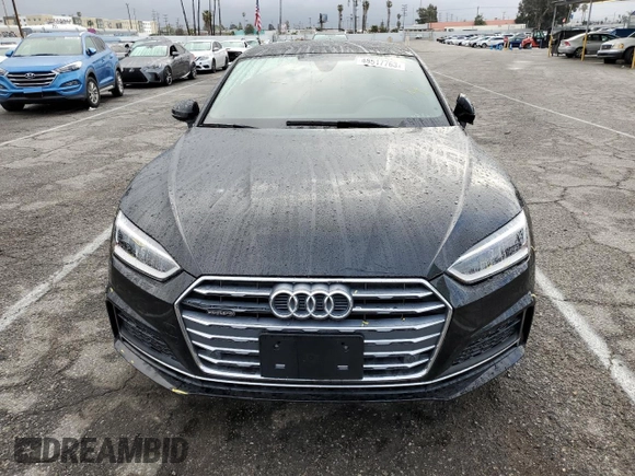 2019 Audi A5 Sportback Premium Plus with VIN WAUENCF54KA028874, listed as a Copart auction lot 48517763 with 53,105 mi miles. Bid and sale history available at carsss.com. Image 5.