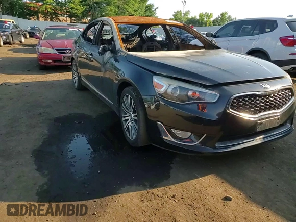 2014 Kia Cadenza Premium with VIN KNALN4D76E5131857, listed as a Copart auction lot 62322354 with Not Provided miles and Salvage Title. Bid and sale history available at carsss.com. Image 11.