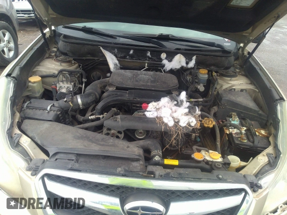 2010 Subaru Legacy Premium with VIN 4S3BMCB62A3210843, listed as a IAAI auction lot 42198589 with 225,939 mi miles and . Bid and sale history available at DreamBid. Image 10.