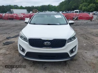 2017 Kia Sorento EX with VIN 5XYPH4A55HG253166, listed as a IAAI auction lot 42220030 with 129,524 mi miles and . Bid and sale history available at DreamBid. Image 12.