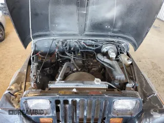 1994 Jeep Wrangler S with VIN 1J4FY19P9RP425255, listed as a Copart auction lot 41884425 with 177,089 mi miles and Salvage Title. Bid and sale history available at carsss.com. Image 12.