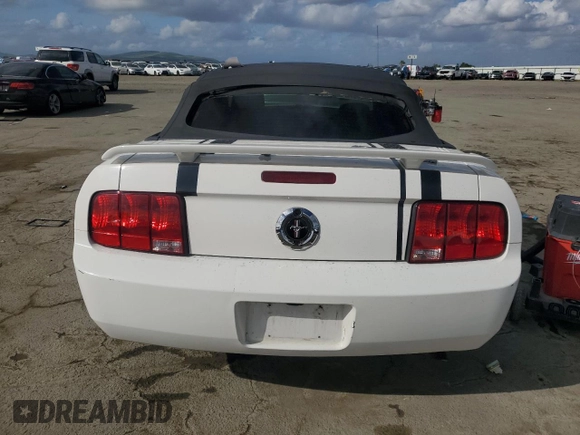 2005 Ford Mustang Deluxe with VIN 1ZVFT84N455250273, listed as a Copart auction lot 50923095 with Not Provided miles and Salvage Title. Bid and sale history available at carsss.com. Image 6.