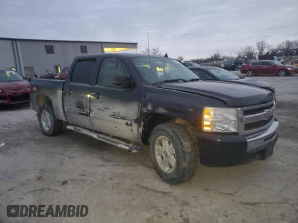 2009 Chevrolet Silverado 1500 LT with VIN 3GCEK23319G196489, listed as a Copart auction lot 87068324 with Not Provided miles and Salvage Title. Bid and sale history available at DreamBid. Image 4.