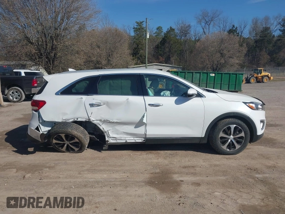 2018 Kia Sorento EX with VIN 5XYPH4A53JG385798, listed as a IAAI auction lot 41676746 with 65,936 mi miles and . Bid and sale history available at DreamBid. Image 13.