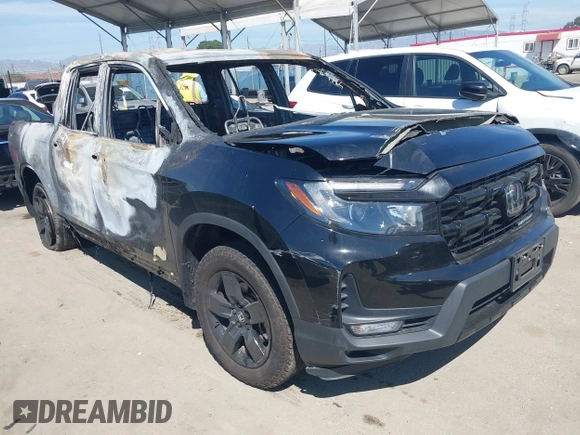 2024 Honda Ridgeline Black Edition with VIN 5FPYK3F89RB015601, listed as a IAAI auction lot 41880308 with Not provided miles and . Bid and sale history available at DreamBid. Image 1.